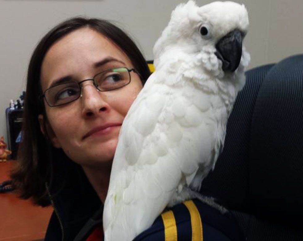 dr christine with a white parrot