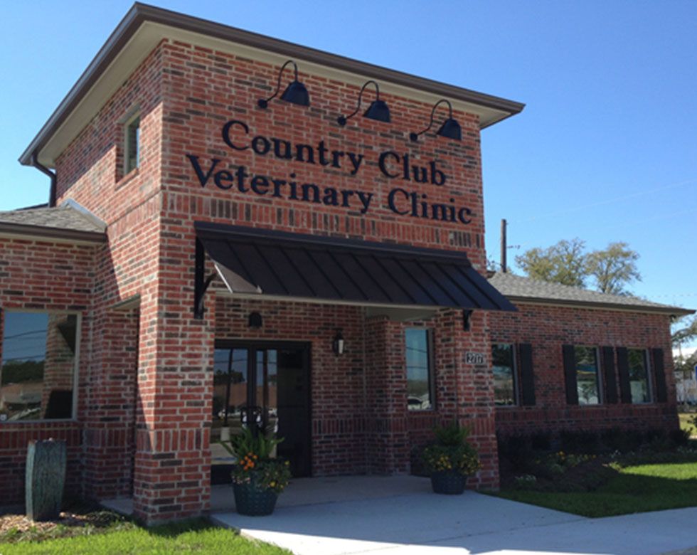 Veterinarian Lake Charles, Sulphur, WestLake | Country Club Veterinary  Clinic